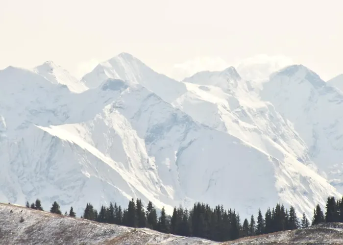 아파트 Gassner 레오강